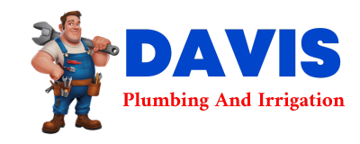 Trusted plumber in LAMONT